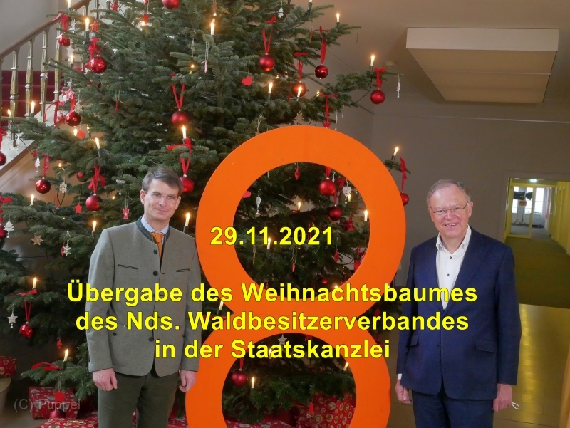 2021/20211129 Staatskanzlei Weihnachtsbaum/index.html
